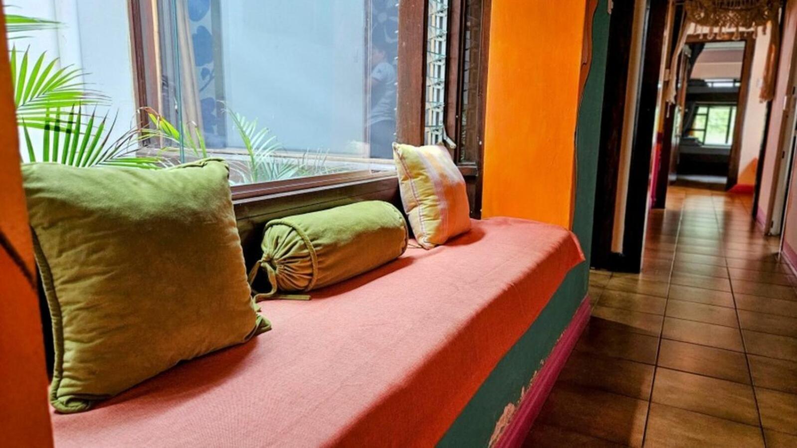 Chillout Hostel Barrio Escalante Σαν Χοσέ Εξωτερικό φωτογραφία